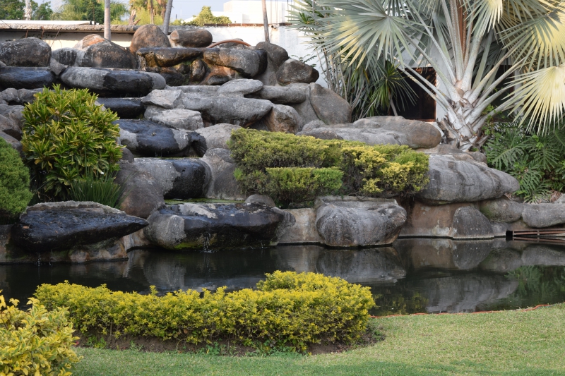 paysagiste-ST MANDRIER SUR MER-min_garden-green-rock-natural-landscape-wall-grass-1613997-pxhere.com