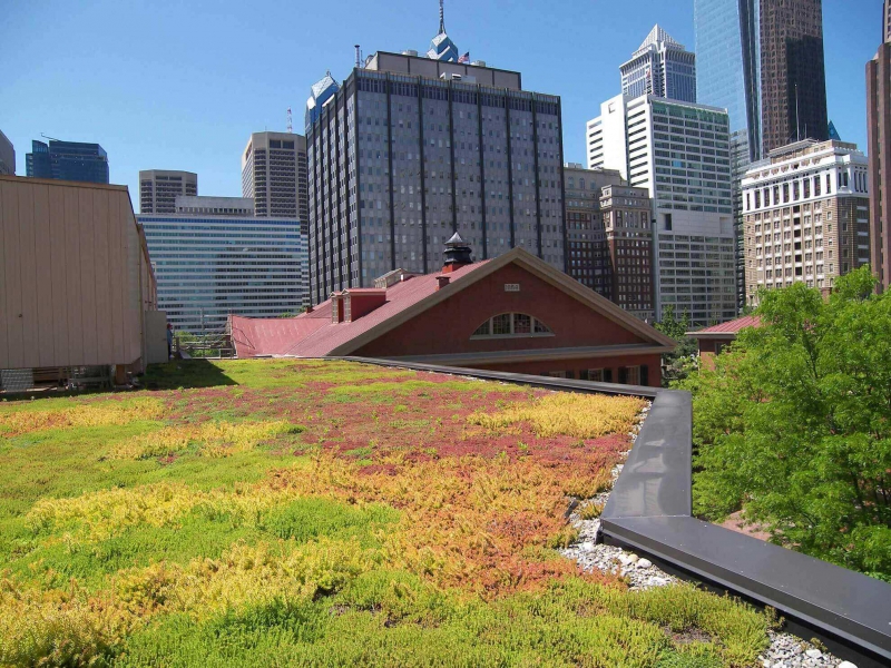 paysagiste-ST MANDRIER SUR MER-min_green-roof-portfolio-4